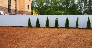 Отсыпка грунта Мичуринск, цена от 204 руб.